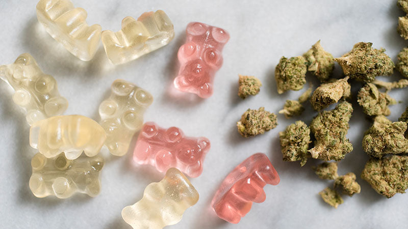 Healthy Gummies Are the New High: Guilt-Free Weed You Can Snack On