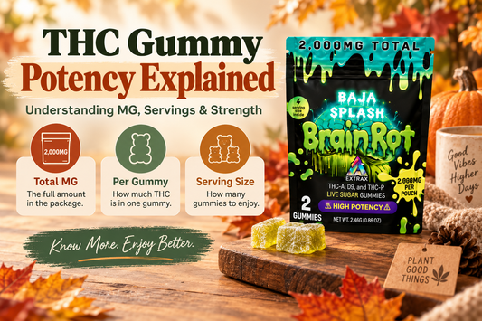 THC gummy potency explained graphic showing a BrainRot Baja Splash gummy package with callouts for total milligrams, milligrams per gummy, and serving size in a warm fall-themed setting.