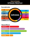 3CHI True Strains Profile